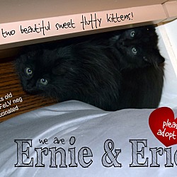 Photo of Eric & Ernie