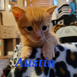 Photo of Austin