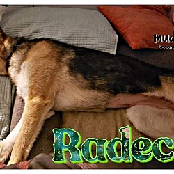 Photo of Radec (Courtesy Post)