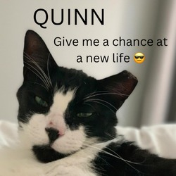 Photo of Quinn/KFC