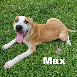 Thumbnail photo of Max #4