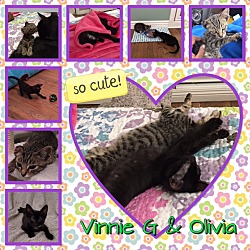 Thumbnail photo of Vinnie & Olivia #2