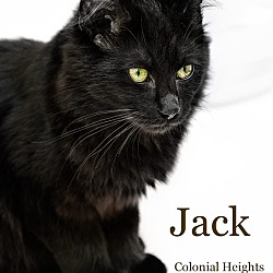 Photo of Jack