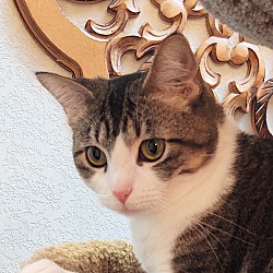Photo of Hazel