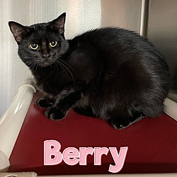 Thumbnail photo of Berry #2