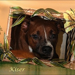 Thumbnail photo of Kiser #3