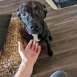 Photo of Storm