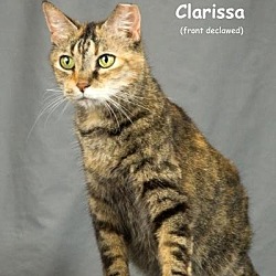 Photo of Clarissa