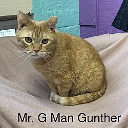 Thumbnail photo of Mr. G Man Gunther #2