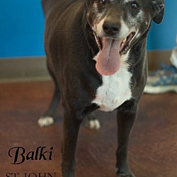 Thumbnail photo of Balki #1