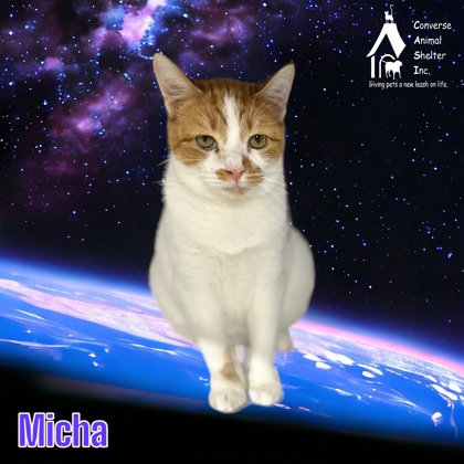 Photo of Micha
