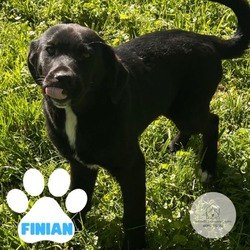 Photo of Finian