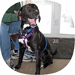 Photo of Jill