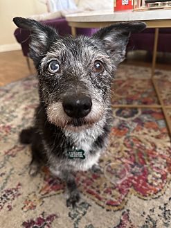 Bailey Photo #1