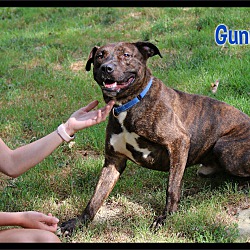 Thumbnail photo of Gunner #4