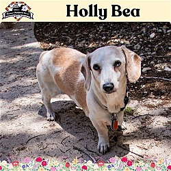 Thumbnail photo of Holly Bea + #1