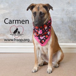 Thumbnail photo of Carmen #3