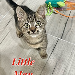 Photo of Little Man