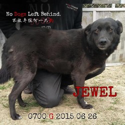 Thumbnail photo of Jewel 0700 #3