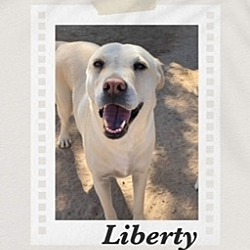 Thumbnail photo of Liberty #2