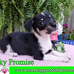 Thumbnail photo of Pinky Promise #1