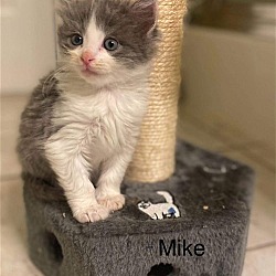 Photo of Mike