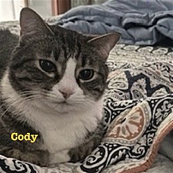 Thumbnail photo of Cody & Cash (Courtesy Listing) #2