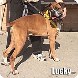 Thumbnail photo of Lucky #2