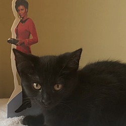 Photo of Uhura