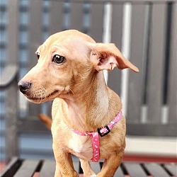 Photo of Joline