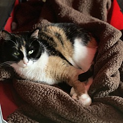 Photo of Sophie