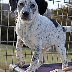 Photo of Nadie