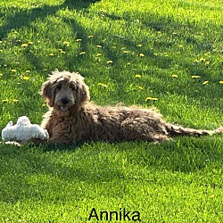 Photo of Annika