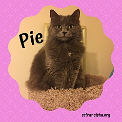 Photo of Pie