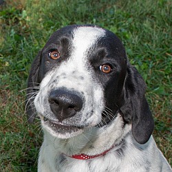 Photo of Thumper