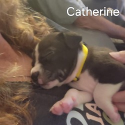 Thumbnail photo of Catherine #1