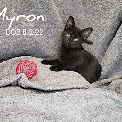 Photo of Myron