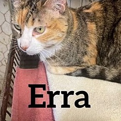 Photo of Erra