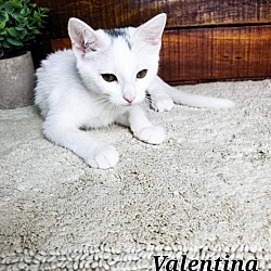 Photo of Valentina