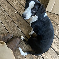 Photo of Luna