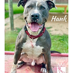 Photo of Hank
