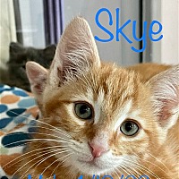 Photo of Skye