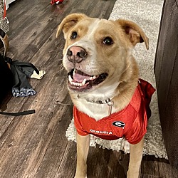 Photo of Cooper
