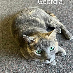 Photo of Georgia