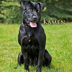 Thumbnail photo of Kamen #1