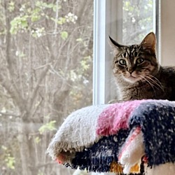 Photo of Maggie Mae-C