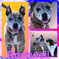 Thumbnail photo of ROCKWELL #2