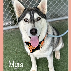 Thumbnail photo of MYRA #1