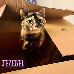 Photo of Jezebel