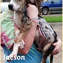 Thumbnail photo of Jacson #2
